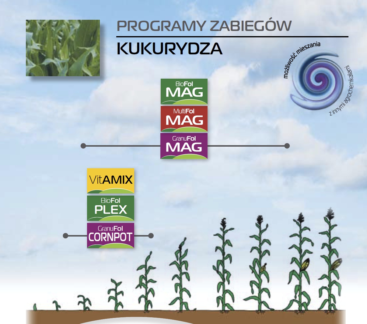 Nawóz Do Kukurydzy | BIOSTYMABiostyma | Stymulacja Dla Upraw